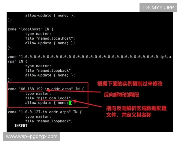 pgsoftsiot.com：分析pgsoftsiot.com在智慧城市建设中的核心作用与实践经验