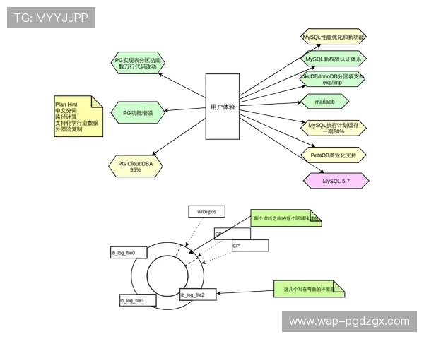 PG娱乐app登录流程全面升级，用户体验显著提升